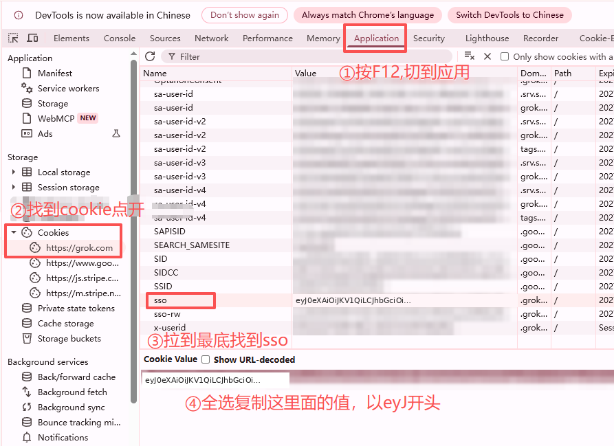 F12 → 应用 → Cookies → grok.com → 复制 sso（eyJ 开头；图中其他 Cookie 值已打码）